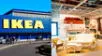 Ikea vendrá al Perú este 2022.