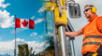 Canadá ofrece empleos con sueldos de hasta 200 mil dólares al mes: AQUÍ cómo postular