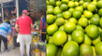 Arequipa: precio del limón crece súbitamente y llega a costar hasta S/ 20 el kilo en mercados.