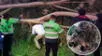 Huancayo: escolar muere tras ser aplastada por árbol de 10 metros