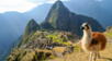 Machu Picchu: estas son las claves para una exitosa compra de entradas al santuario histórico
