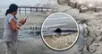 ¡Alerta en la playa de Chancay! Extraño fenómeno aterra a bañistas: "las aguas hierven"