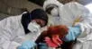OMS confirma la primera muerte humana en el mundo por gripe aviar A H5N2 en México. OMS: México registra la primera muerte humana por gripe aviar A H5N2