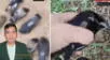 Surco: Envenenan a decenas de palomas en el parque Sagitario y vecinos revelan lo impensable