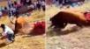 Corrida de toros termina en tragedia en Huancavelica: Animal embistió a dos espectadores