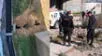 Arequipa: niño cae de edificio a canal de riego y muere.