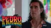 “Pedro el escamoso 2” capítulo 8 temporada 2: Guía completa, fecha, hora y dónde ver la serie colombiana