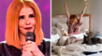 Johanna San Miguel deja en shock con mensaje tras salida de EEG: "Mis mañanas son más hermosas"