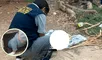 Madre acaba con la vida de su bebé recién nacida al tirarla a un pozo. madre mata a su bebé recién nacida en Chepén