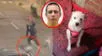 Hombre MATA A GOLPES a perrito en Trujillo. Trujillo matan a perrito