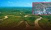 Imágenes satelitales de la NASA revelan la creciente deforestación en la Amazonía. Imágenes satelitales de la NASA revelan la creciente deforestación en la Amazonía.