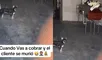 Joven presta dinero y vive momento trágico en Colombia. Le prestó dinero y al ir a cobrar se enteró de la peor noticia