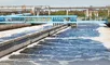 Científicos crean innovadora solución con nanopartículas flotantes que eliminan toxinas en segundos.