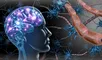 ¿Es posible revivir las memorias después de morir? Un experimento revela lo que pasa segundos después.
