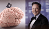 Elon Musk promete devolver la visión con chips cerebrales de Neuralink. Elon Musk promete devolver la visión con chips cerebrales de Neuralink.