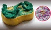 Especialista advierte que las esponjas de cocina albergan bacterias peligrosas, al igual que las heces. Especialista advierte que las esponjas de cocina albergan bacterias peligrosas, al igual que las heces.