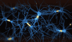 Los 7 alimentos que estimulan el crecimiento de neuronas, según la ciencia. Los 7 alimentos que estimulan el crecimiento de neuronas, según la ciencia.