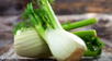 Aprende todo sobre el hinojo y sus beneficios digestivos, respiratorios y antiinflamatorios. hinojo