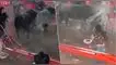 Las imágenes del incidente fueron difundidas en redes sociales. Corrida de toros clandestina