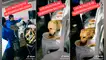 perrito, TikTok, video viral