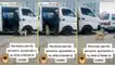 TikTok, video viral, perros, mascotas, perrito llama a pasajeros
