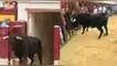 En un descuido el toro arrasó con todo en su camino. España, toro, carnicero