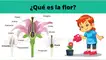 Las flores producen frutos que nos sirven de alimento. La flor