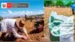 agricultura, fertilizante