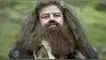 Robbie Coltrane interpretó a Hagrid en la película Harry Potter. Harry Potter.