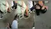 La mujer fue vista con unas peculiares 'uñas' mientras estaba en el micro y se hizo viral en TikTok. TikTok, captan a mujer con peculiares 'uñas' en una combi, video viral, uñas postizas