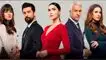 Descubre más sobre la telenovela turca 'Fruto prohibido'.