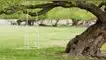 Imagen referencial sobre columpio en un arbol elpopular.pe