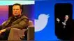 Elon Musk, Twitter, despido