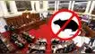 Anuncian desratización  en el Congreso