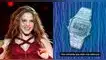 Shakira hizo mención a Casio y la marca no dudó en hacerse publicidad. Shakira hizo mención a Casio y la marca no dudó en hacerse publicidad.