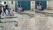 TikTok, video viral, perros en coches de bebés por calles de Arequipa, redes sociales