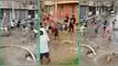 Vecinos alistaron recogedores y escobas para retirar agua acumulada en su vecindario. TikTok, video viral