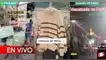 TikTok, video viral, redes sociales