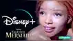 ¿Dónde ver La Sirenita en streaming? ¿Cuándo estará online en Disney Plus? ¿Dónde ver La Sirenita en streaming? ¿Cuándo estará online en Disney Plus? | Halle Bailey