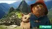 Paddington 3 comenzó sus grabaciones en la llaqta de Machu Picchu. Paddington 3 se grabó en la llaqta de Machu Picchu ¡Otra película de Hollywood en Perú!