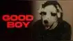 Conoce dónde ver la película de terror sobre un hombre vestido de perro, "Good boy". De qué trata Good Boy y dónde ver la nueva película de terror.