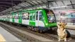 ATU, Línea 1 del Metro de Lima, perro
