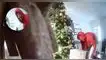 Video viral: Ladrón es captado robando los regalos de bajo el árbol de Navidad en Estados Unidos, redes sociales