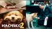 ‘Hachiko 2’: cuándo estrena, tráiler, reparto y más de la historia del perro ‘más fiel del mundo’