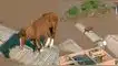 El video viral del caballo triste por estar atrapado en inundación conmovió en Brasil. El video viral del caballo triste por estar atrapado en inundación conmovió en Brasil.