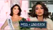 Ítaly Mora, Miss Universo Panamá, no va más en el Miss Universo tras incumplimiento.