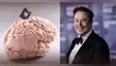 Elon Musk promete devolver la visión con chips cerebrales de Neuralink.