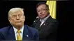 La frase con la que Petro respondió a Trump y encendió la tensión diplomática