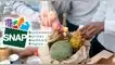 Conoce si se entregarán los cupones de alimentos SNAP de noviembre. cupones SNAP