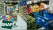 Gobierno ajusta SNAP: los requisitos que todos los solicitantes deberán cumplir desde este año.